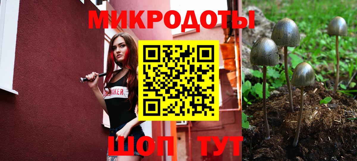 Псилоцибиновые грибы GOLDEN TEACHER  Вход с VPN  Чита 
