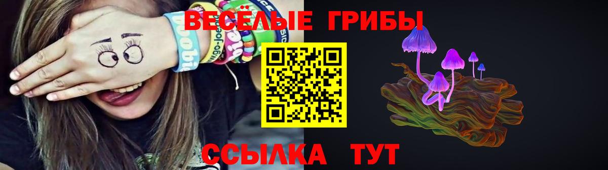 Псилоцибиновые грибы Psilocybe Чита